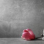 A Meditator's Guide
