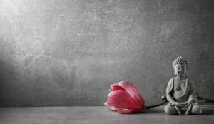 A Meditator's Guide