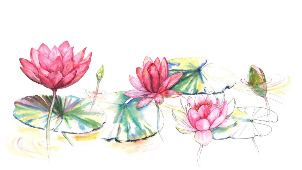 A simple and ordinary subject called Dhamma