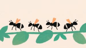 ทางสายกลางของแต่ละคน